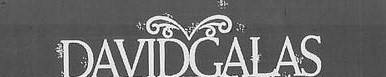 logo David Galas